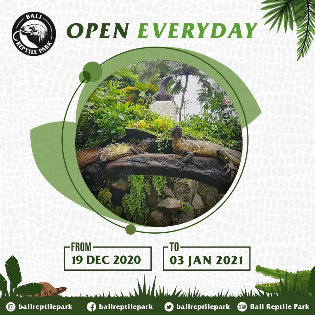 Reptile Tour Bali Reptile Park Where Hot and ColdBlooded Meet