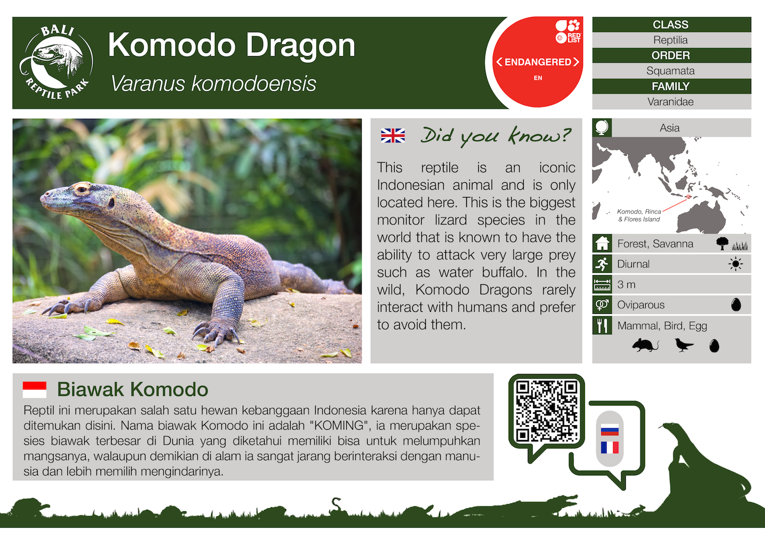 Varanus komodoensis
